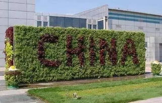 園林工程的6種垂直綠化形式