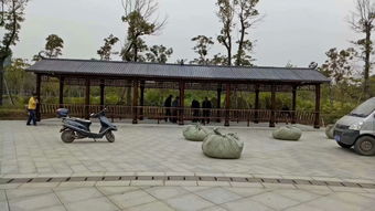 生態(tài)木花架與體育場地設(shè)施工程施工 價格、耐用性與施工指南